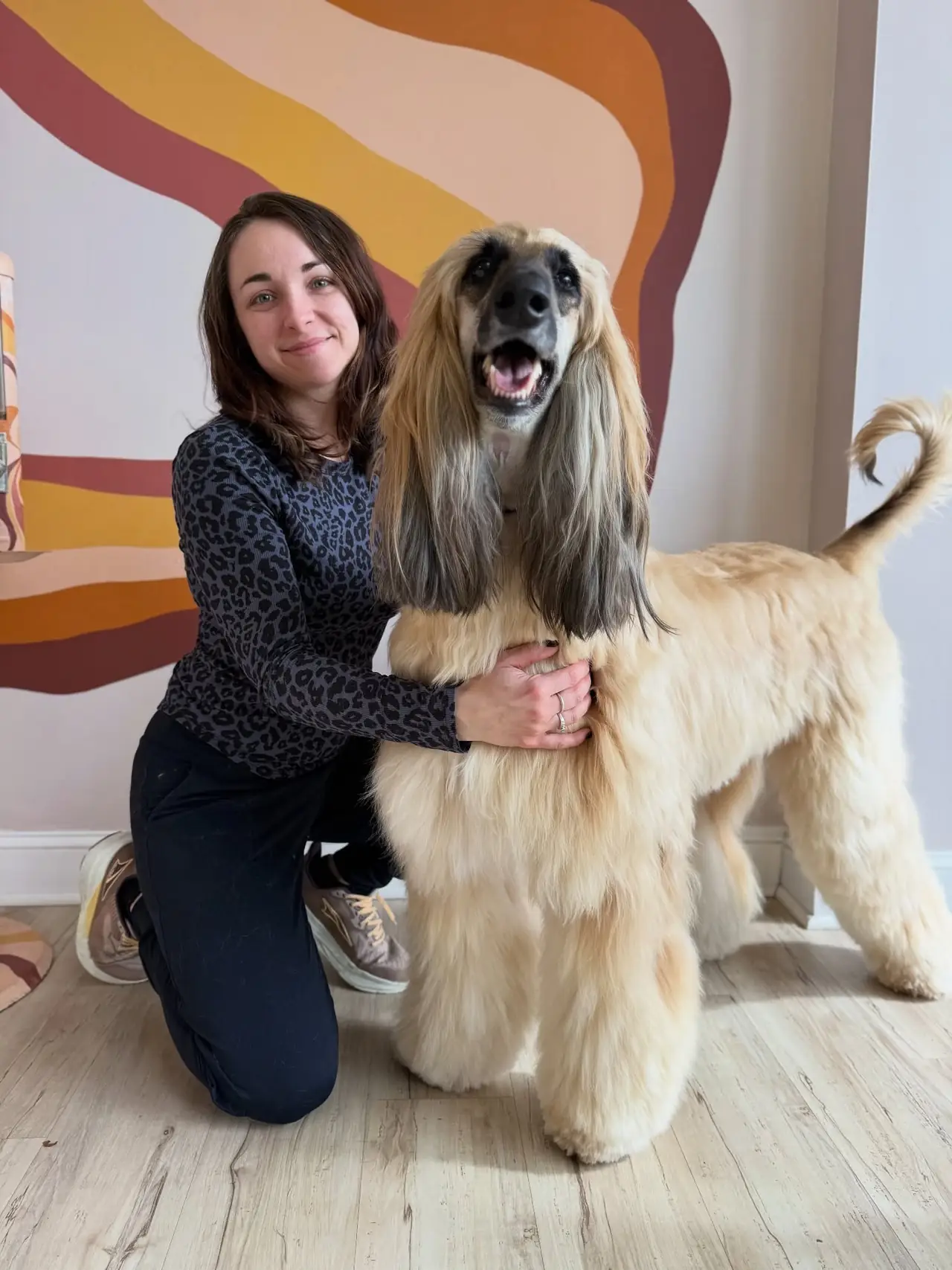 A groomer kneeling beside a freshly groomed Afghan hound in front of the salon's wave mural