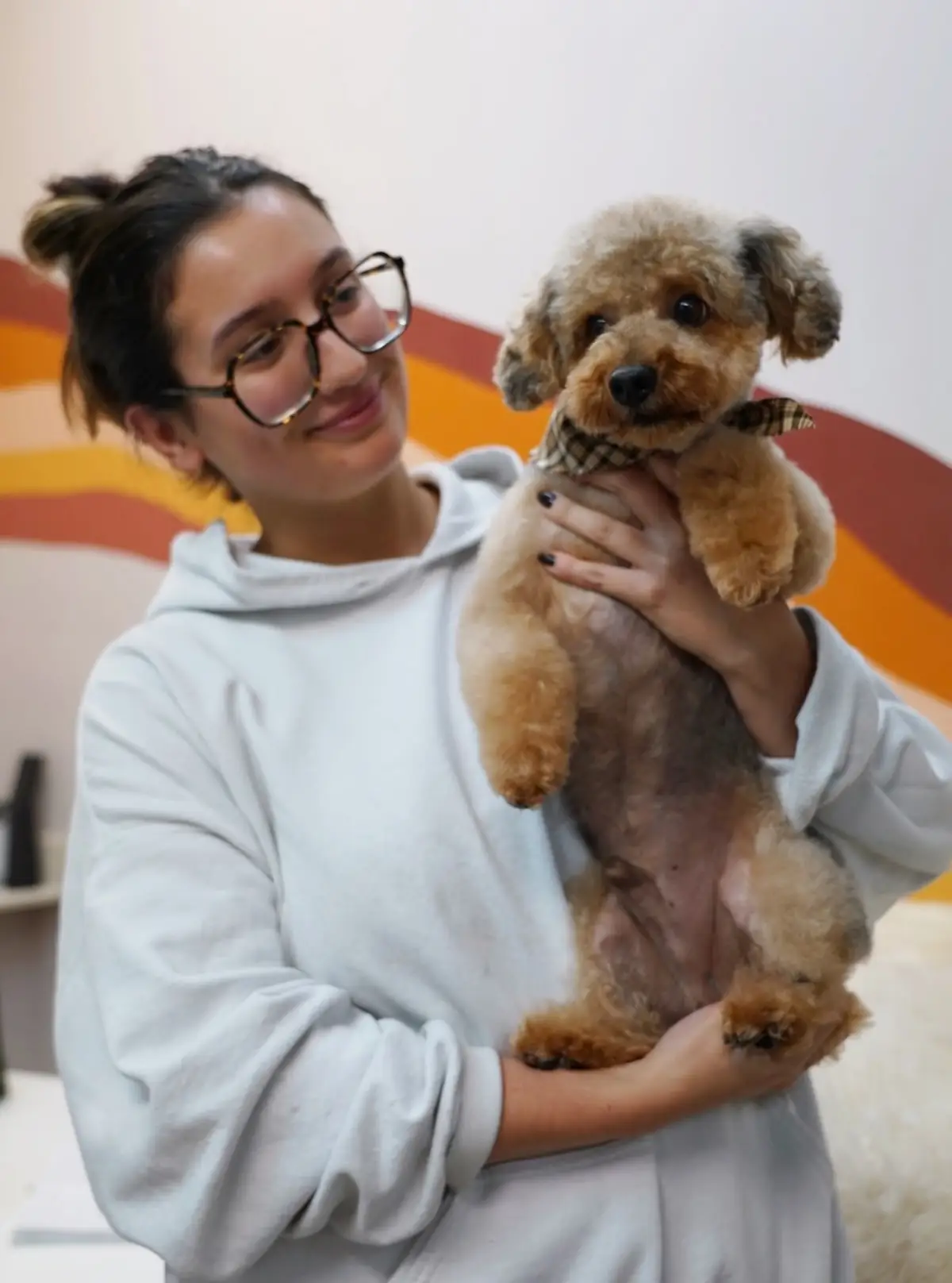 A groomer holding a trimmed poodle in front of the salon's orange wave mural